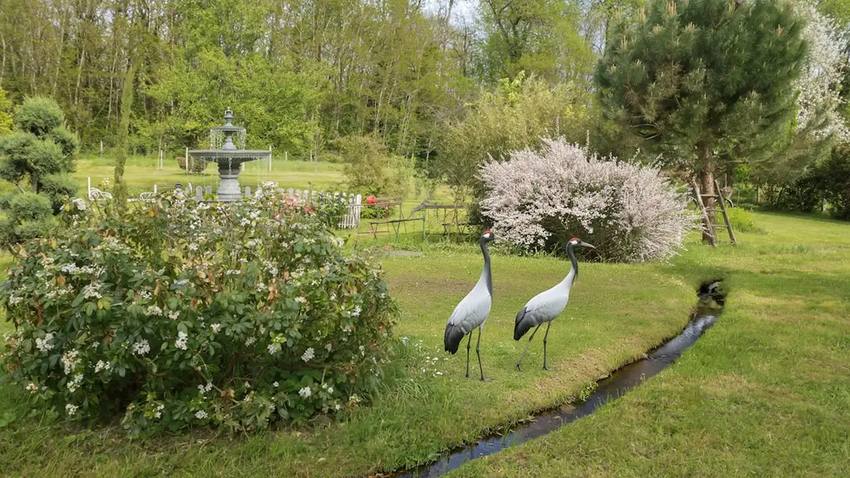 Attirer les oiseaux au jardin, de ses propres mains