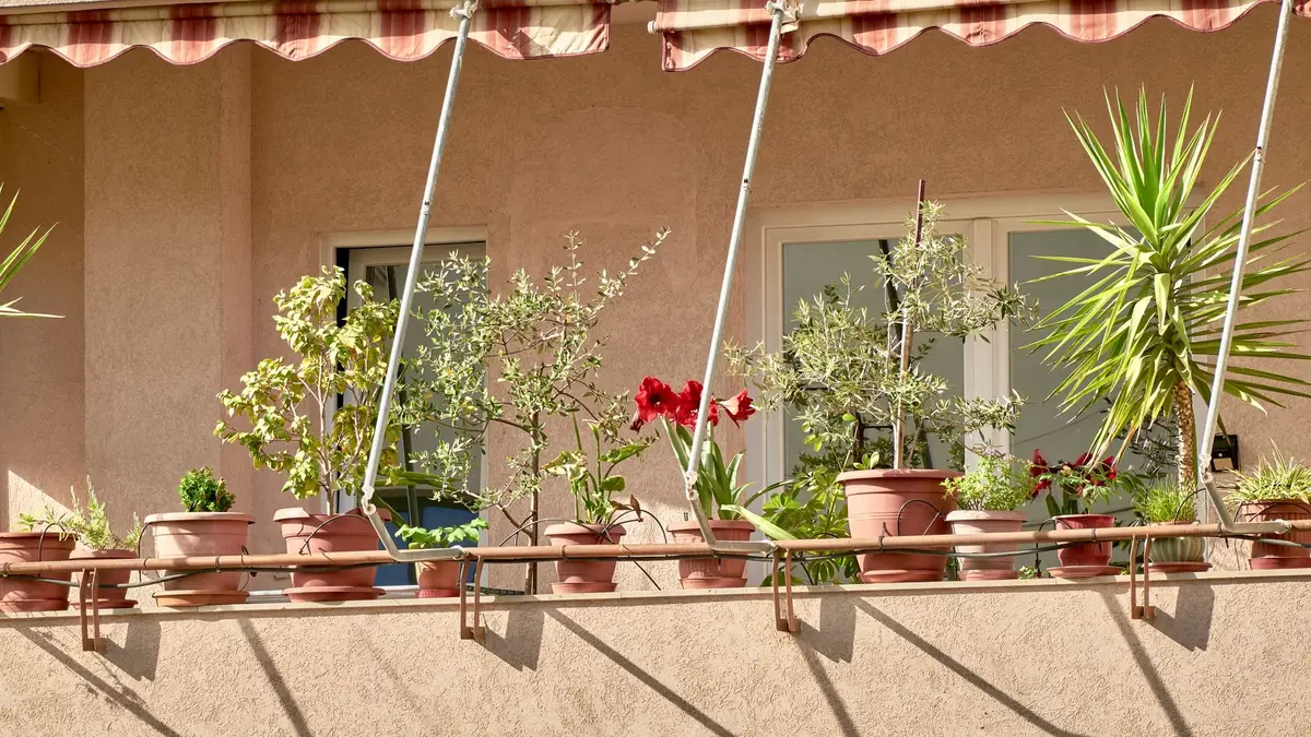 Fleurir un balcon plein soleil : le pas-à-pas